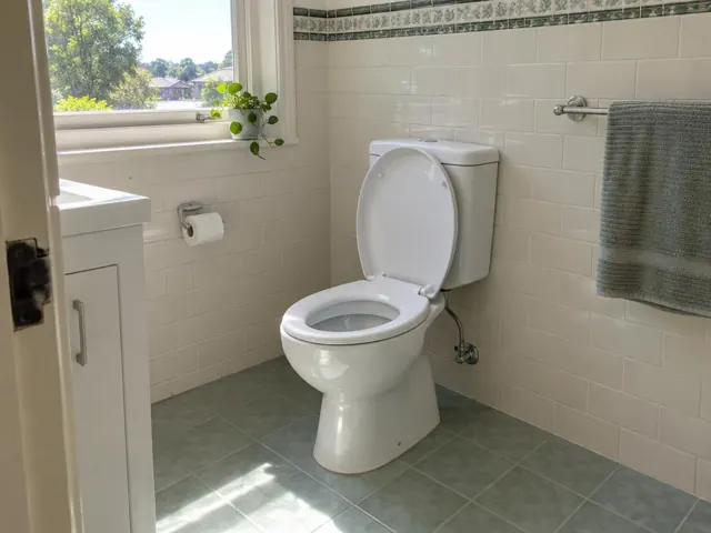 Clean white toilet in a tiled bathroom with window light in Gladesville